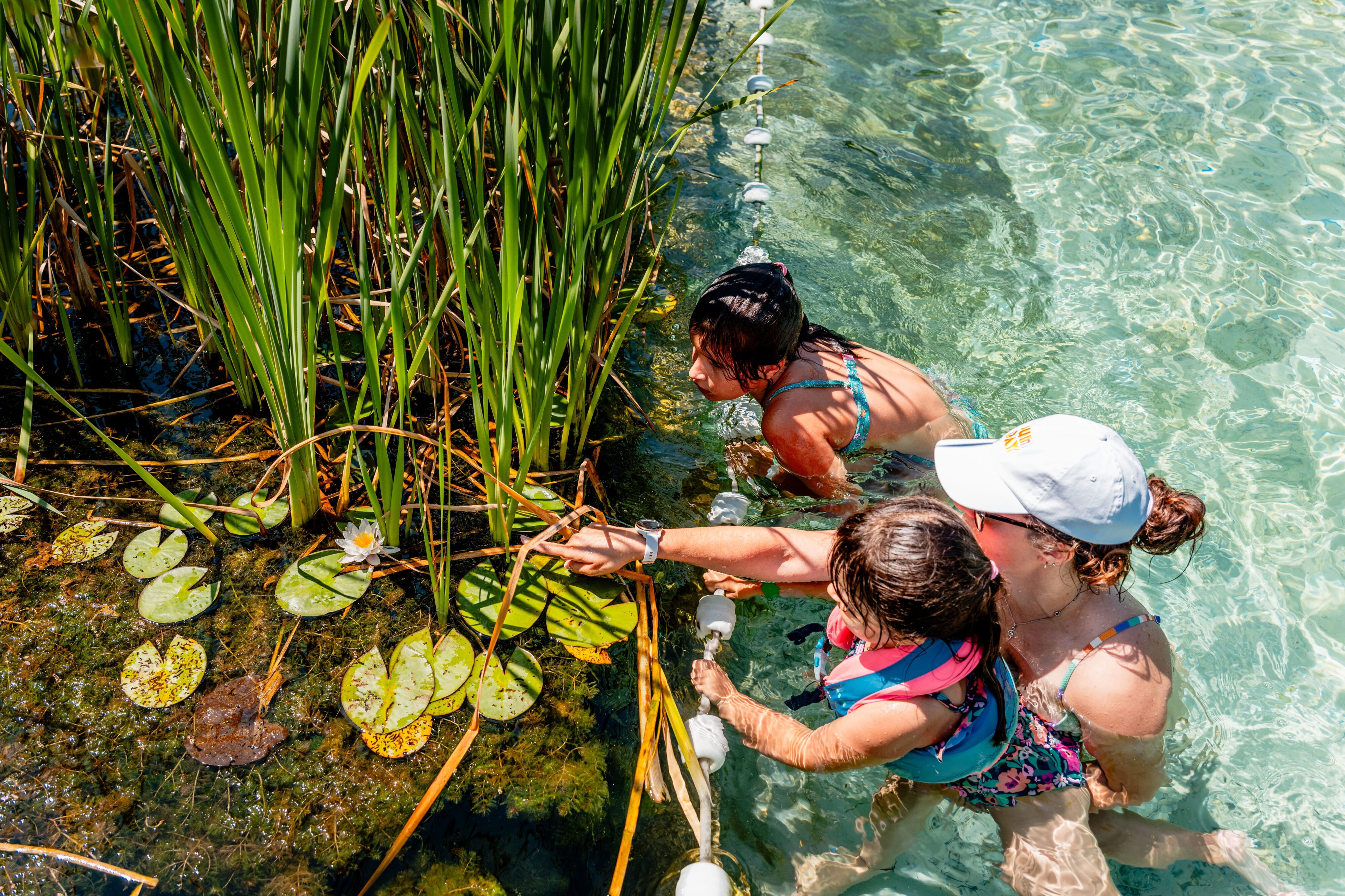 LA SEULE BAIGNADE ÉCOLOGIQUE EN CHARTREUSE !