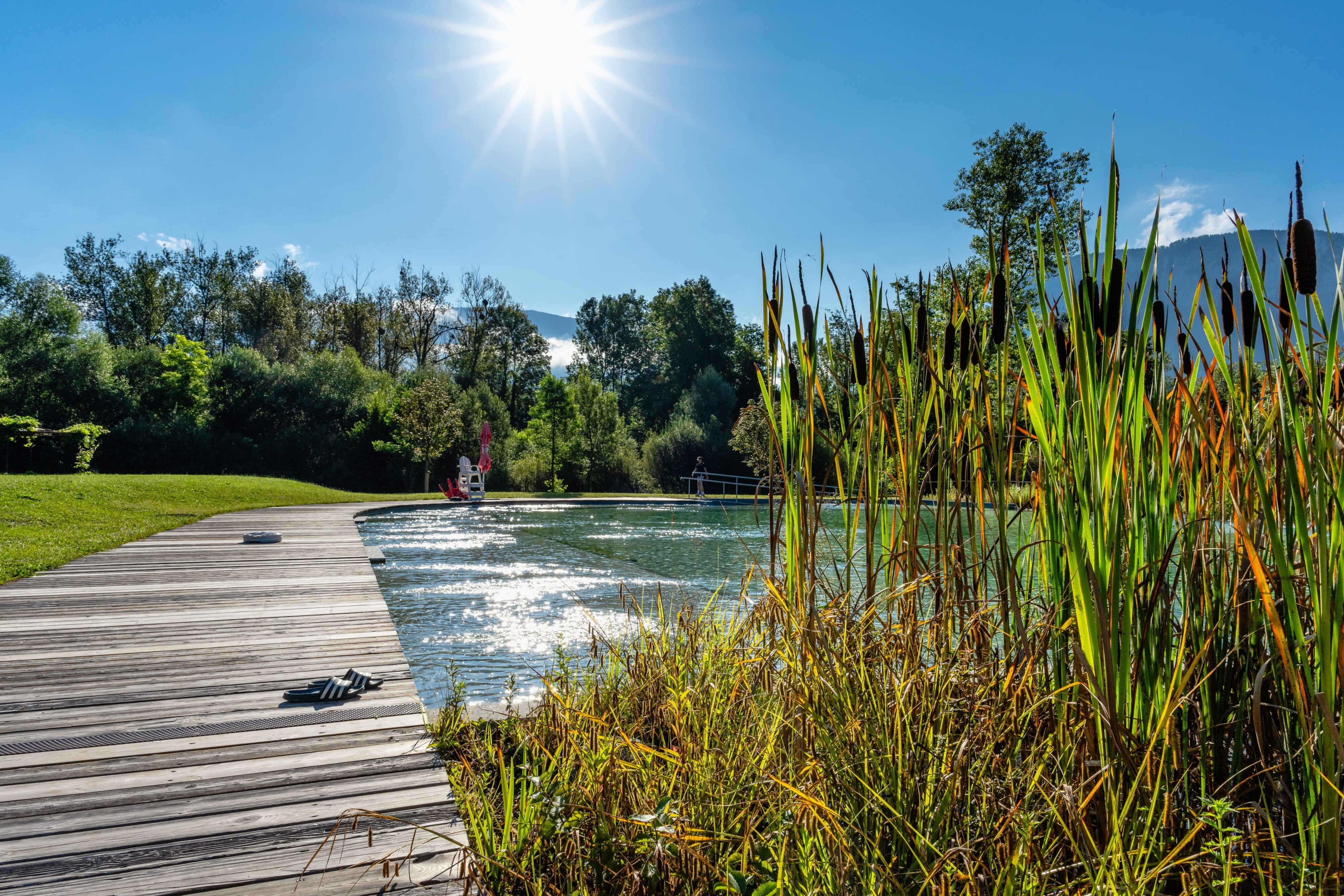 THE ONLY ECOLOGICAL BATHING IN CHARTREUSE